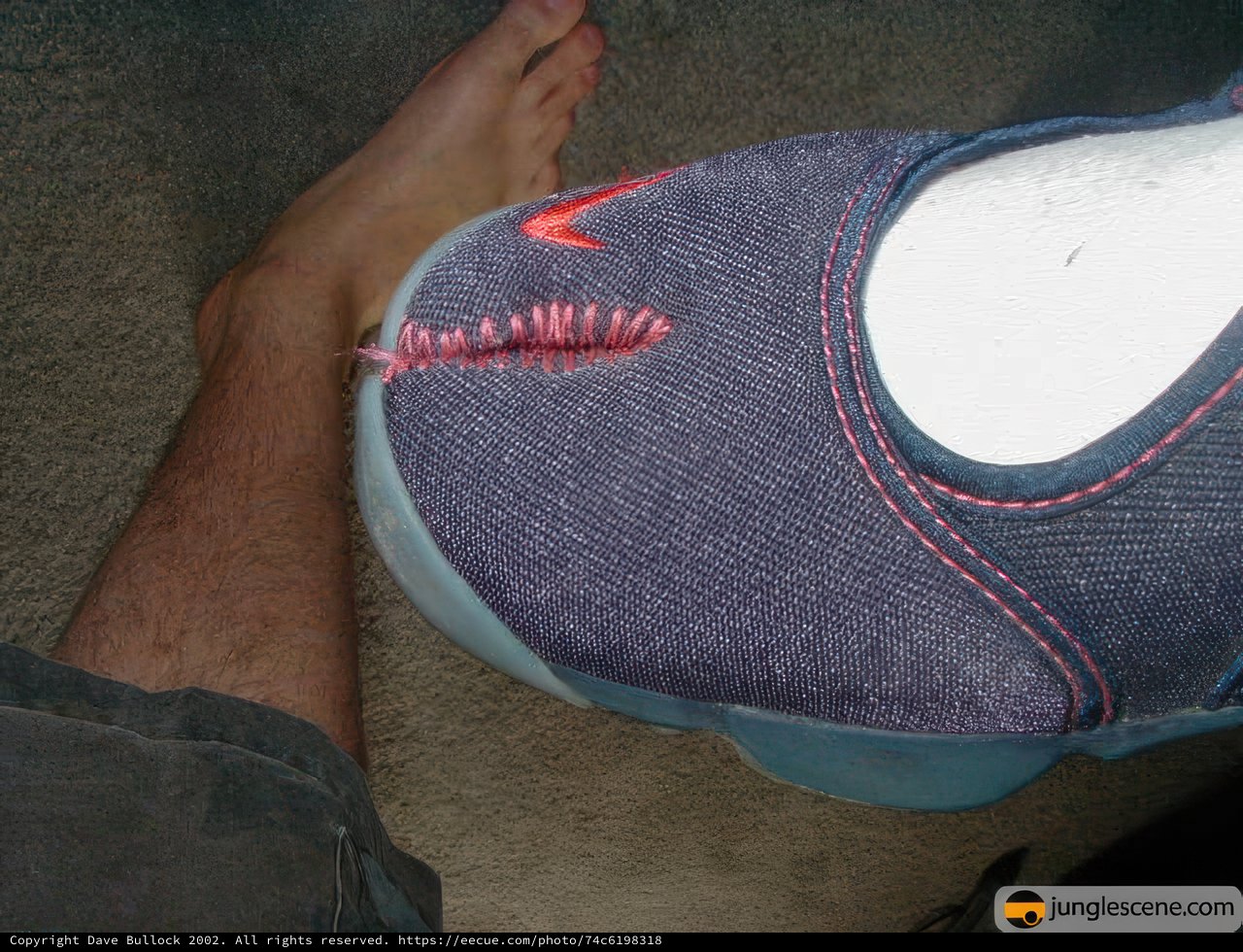 Shoe on Foot