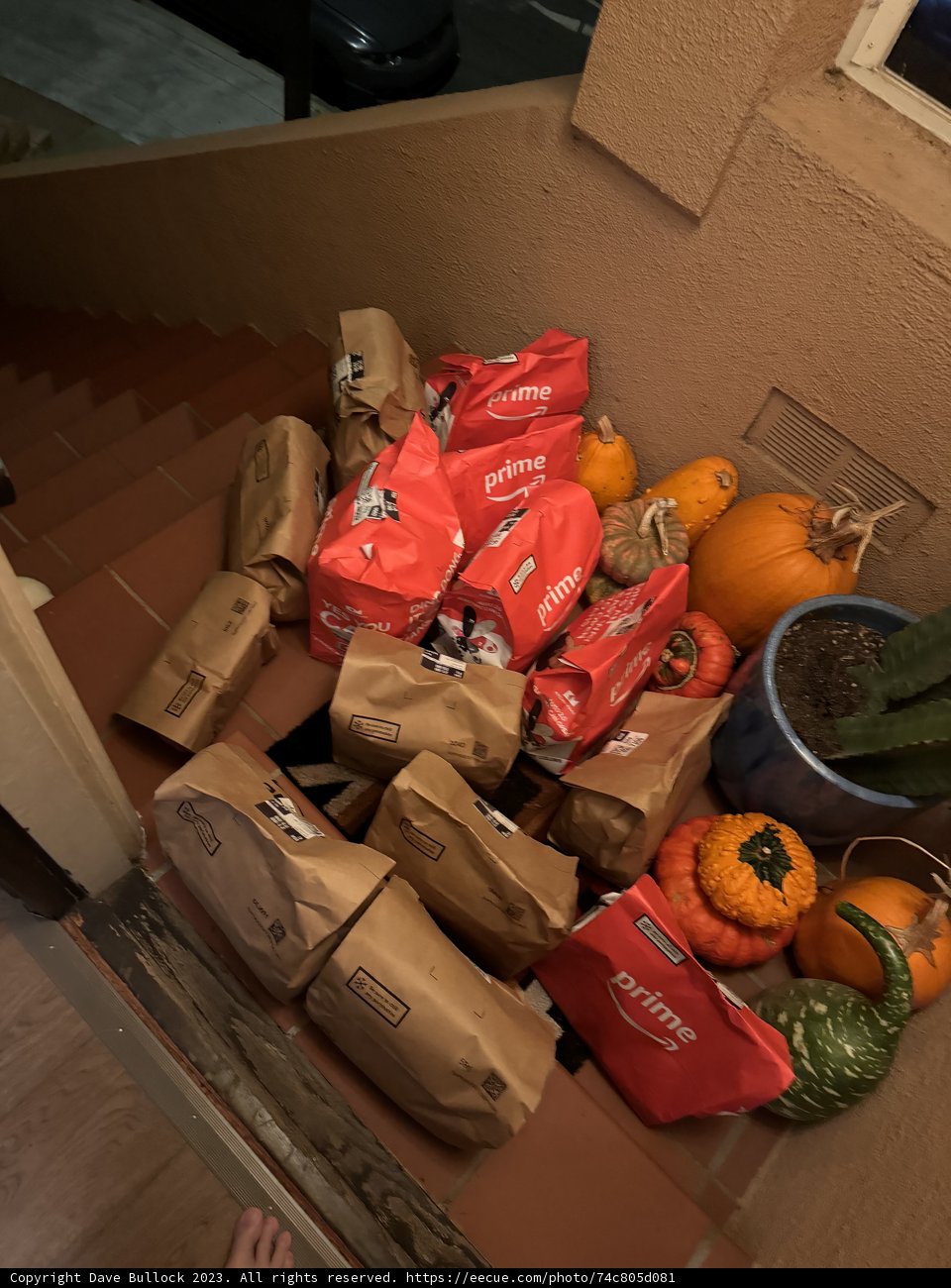 November Harvest in Hallway