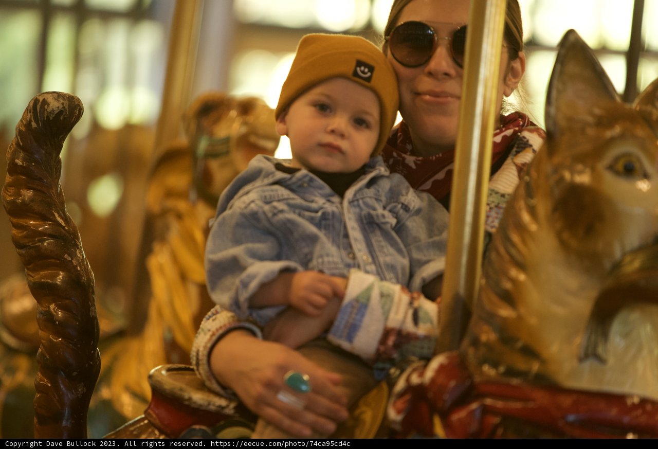 Carousel Bonds: Unforgettable Day at SF Zoo