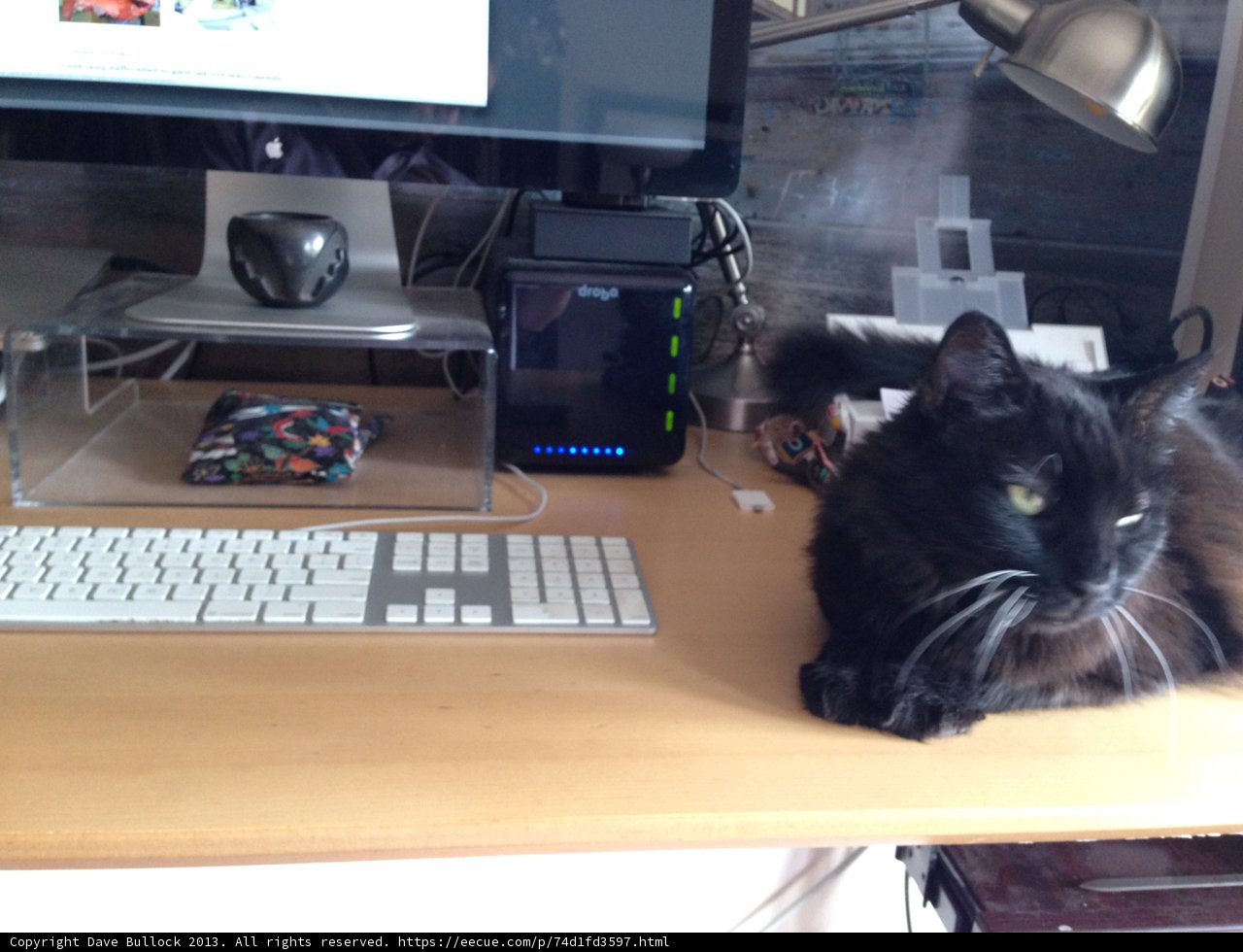 Desk Buddies