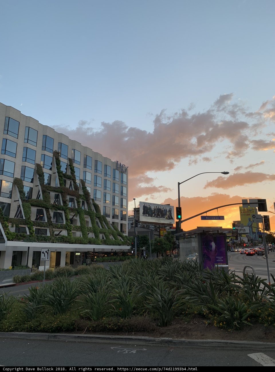 Green Roofed Office Building in the Heart of the City