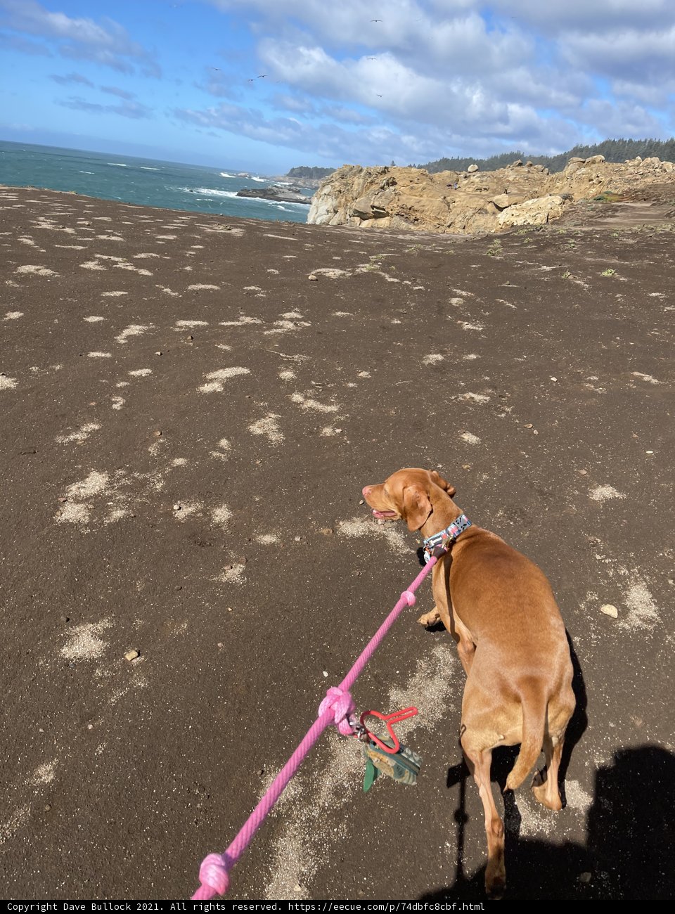 Walking Along the Shoreline