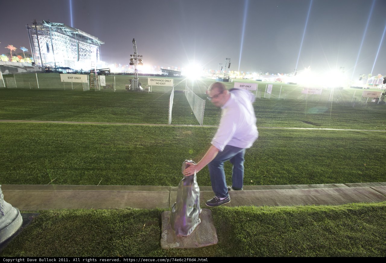 Spotlight on the Grass