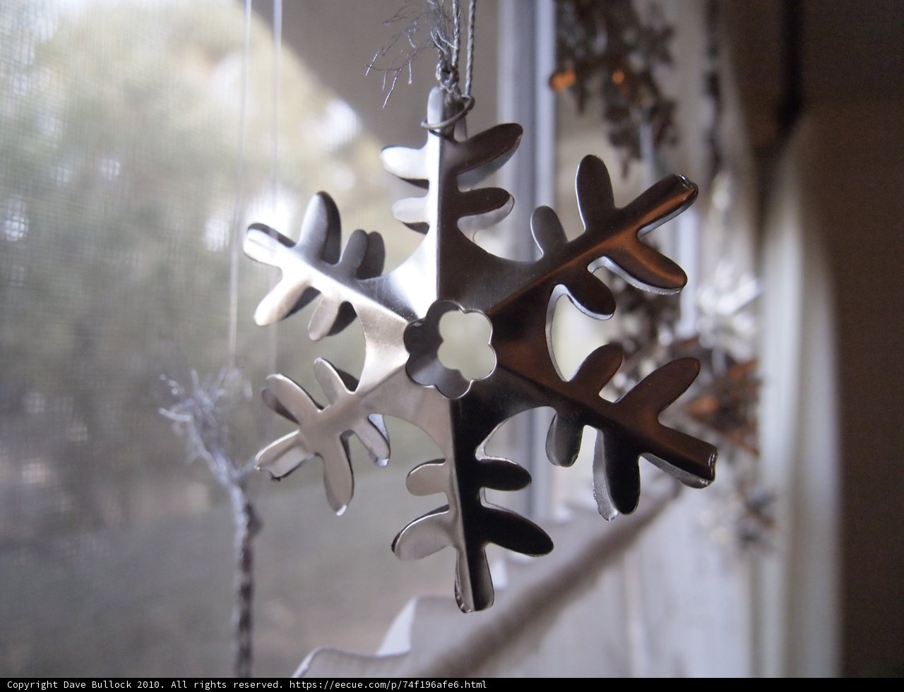 Winter's Beauty on Display