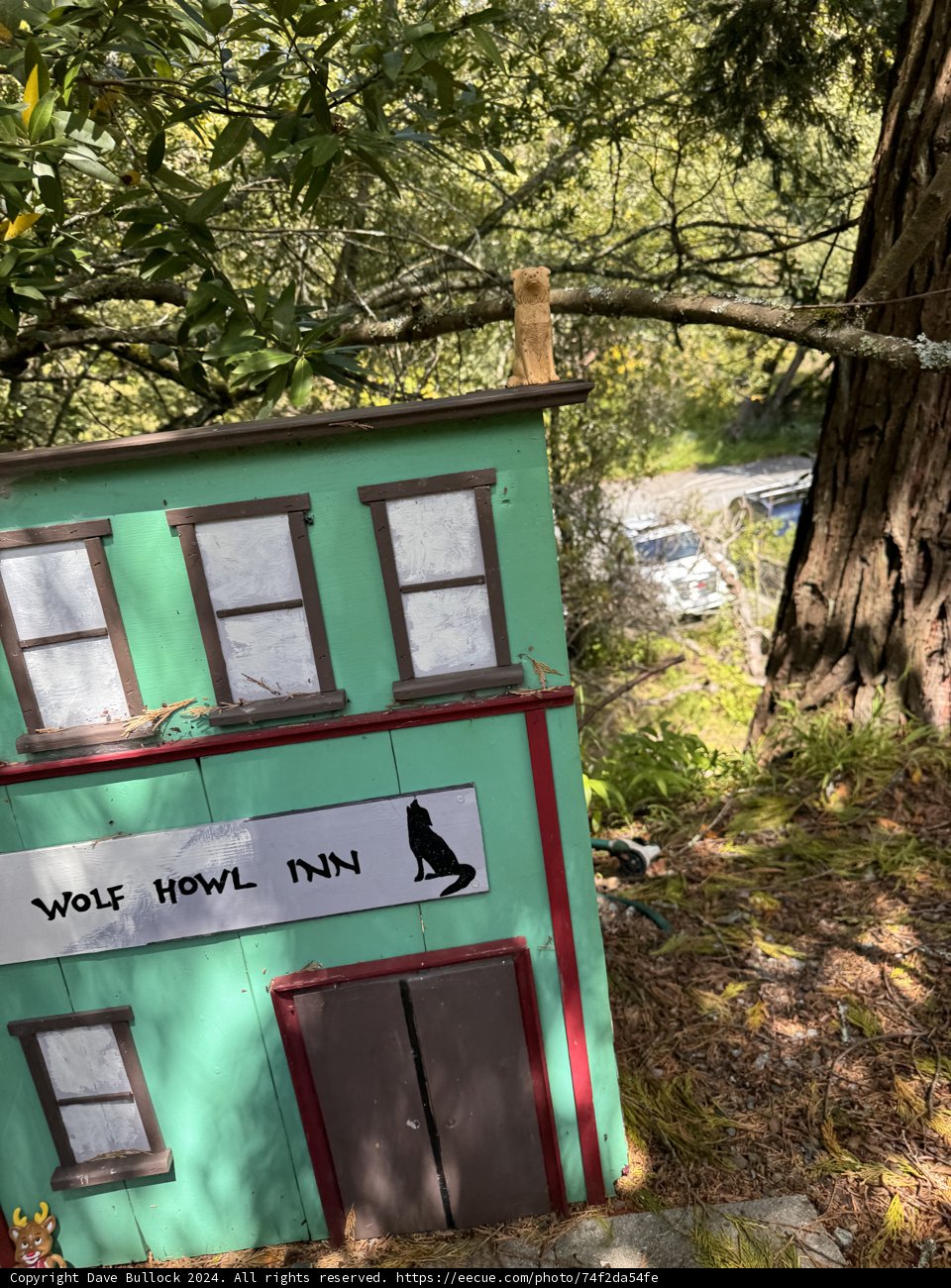 Enchanted Woodland Dwelling