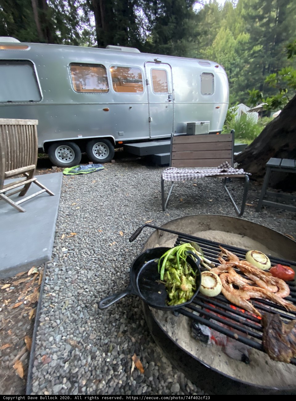 Airstream Camper among California Woods