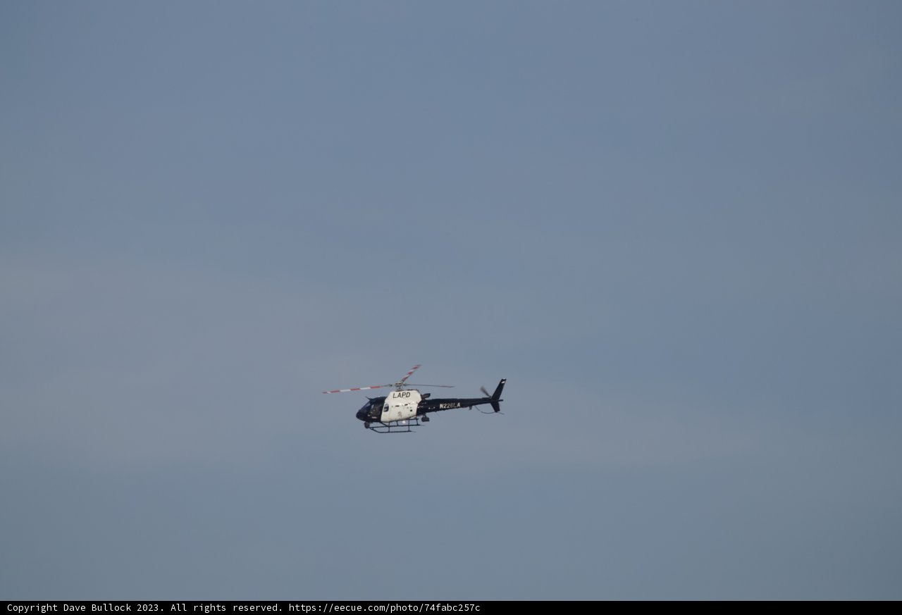 Whirlybird Watchers' Treat