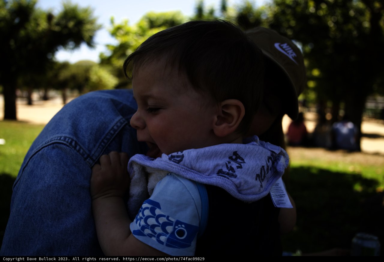 Cherishing Motherhood Moments at the Park - 2023