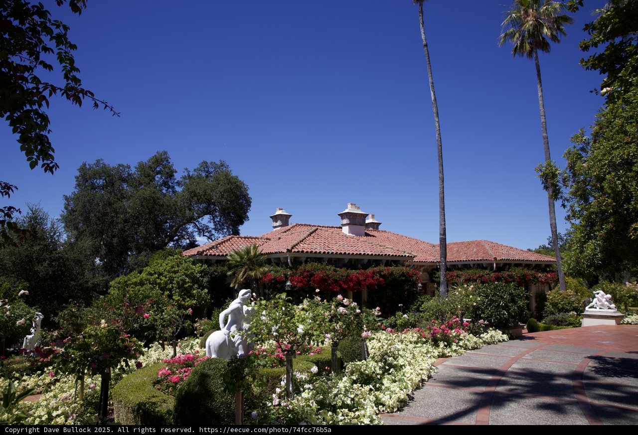 Serene Summer at the Hearst Castle Gardens