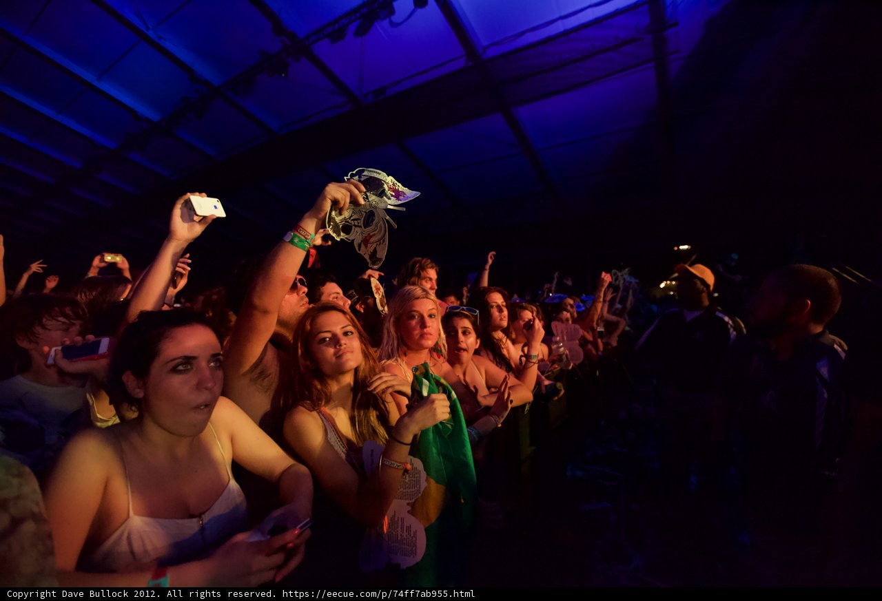 Excitement in the Crowd