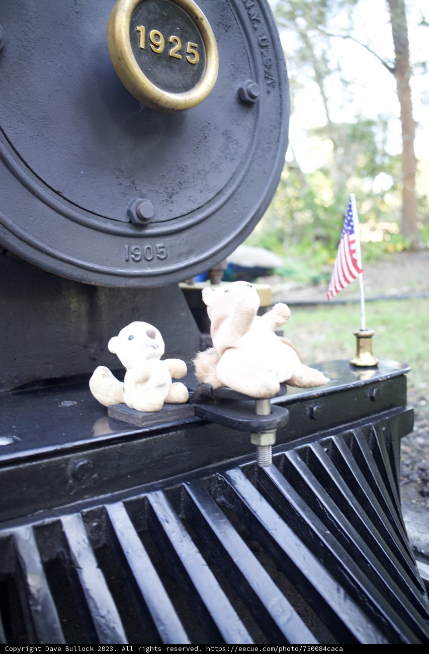 The "Engine Teddy Adventure" in SF Zoo: Commemorating Playful Moments