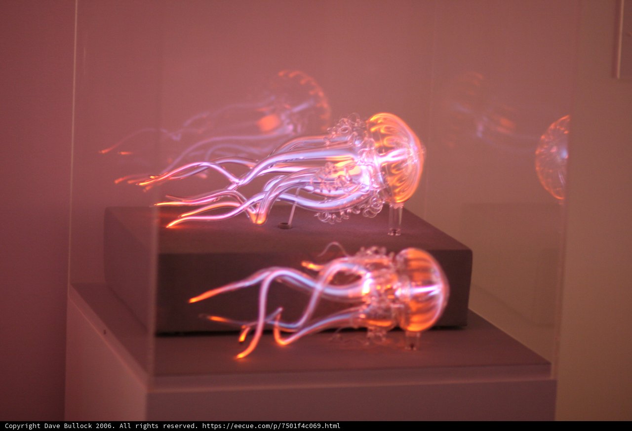 Glowing Jellyfish Take Over Museum of Modern Art