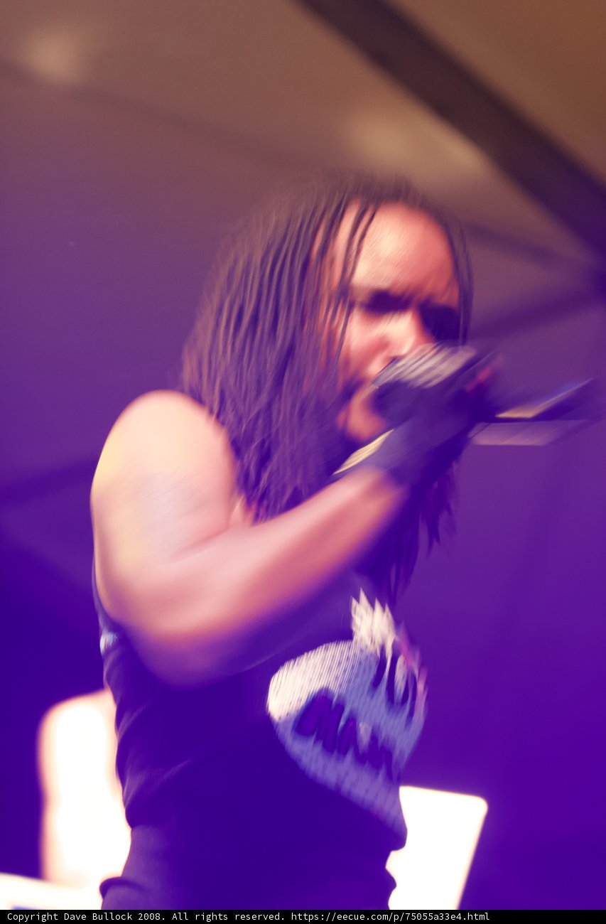 Dreadlocked Woman Singing on Stage at Coachella 2008