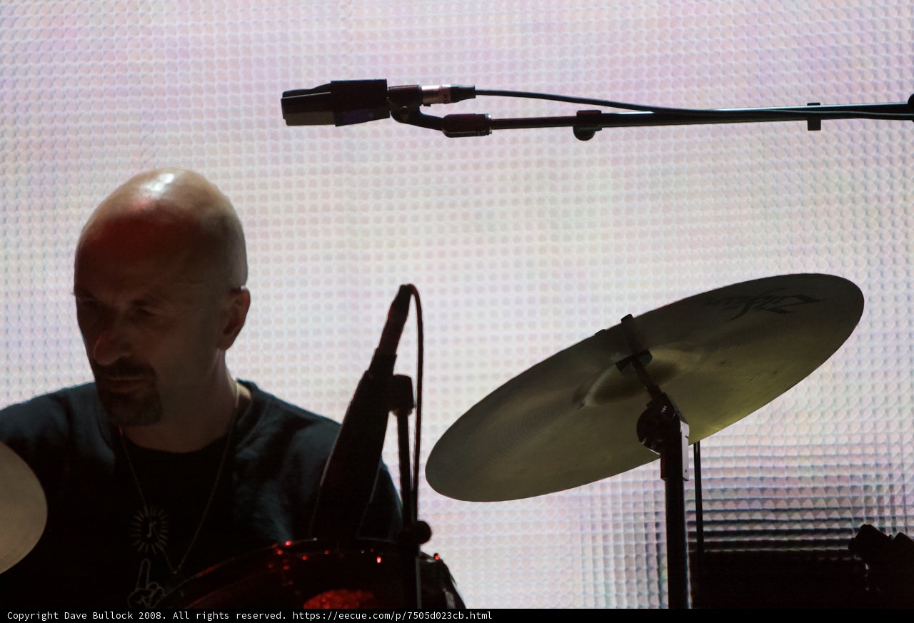 Bald Musician Takes the Stage