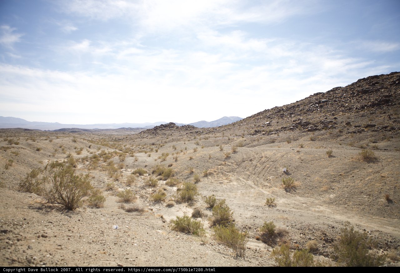 Desert Solitude