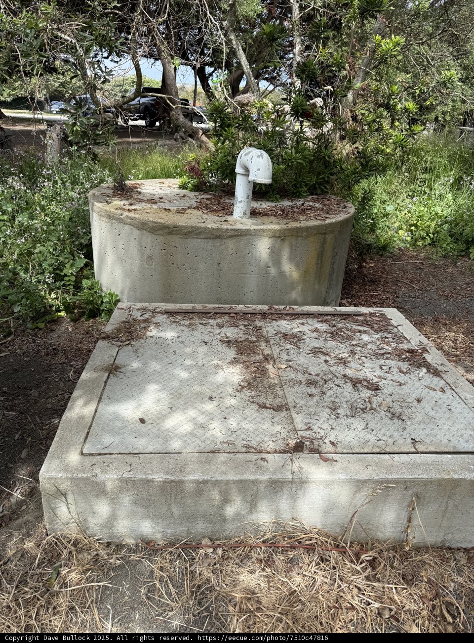 Resting Place Amidst Nature
