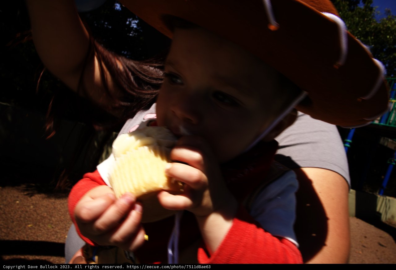 Tiny Cowboy's Delicious Adventure