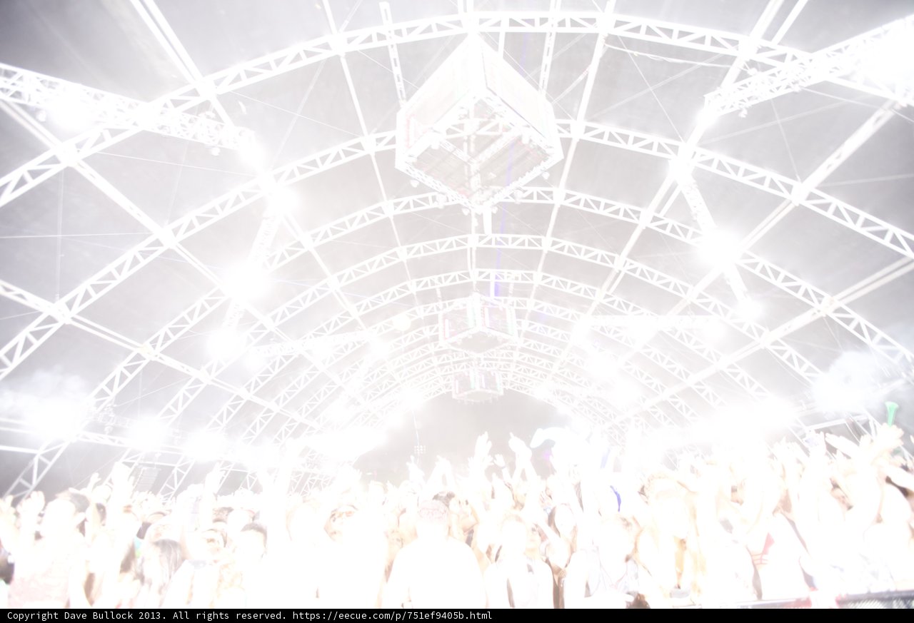 Lights and Laughter at Coachella
