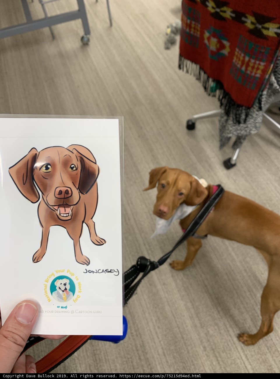 A Dog and a Drawing