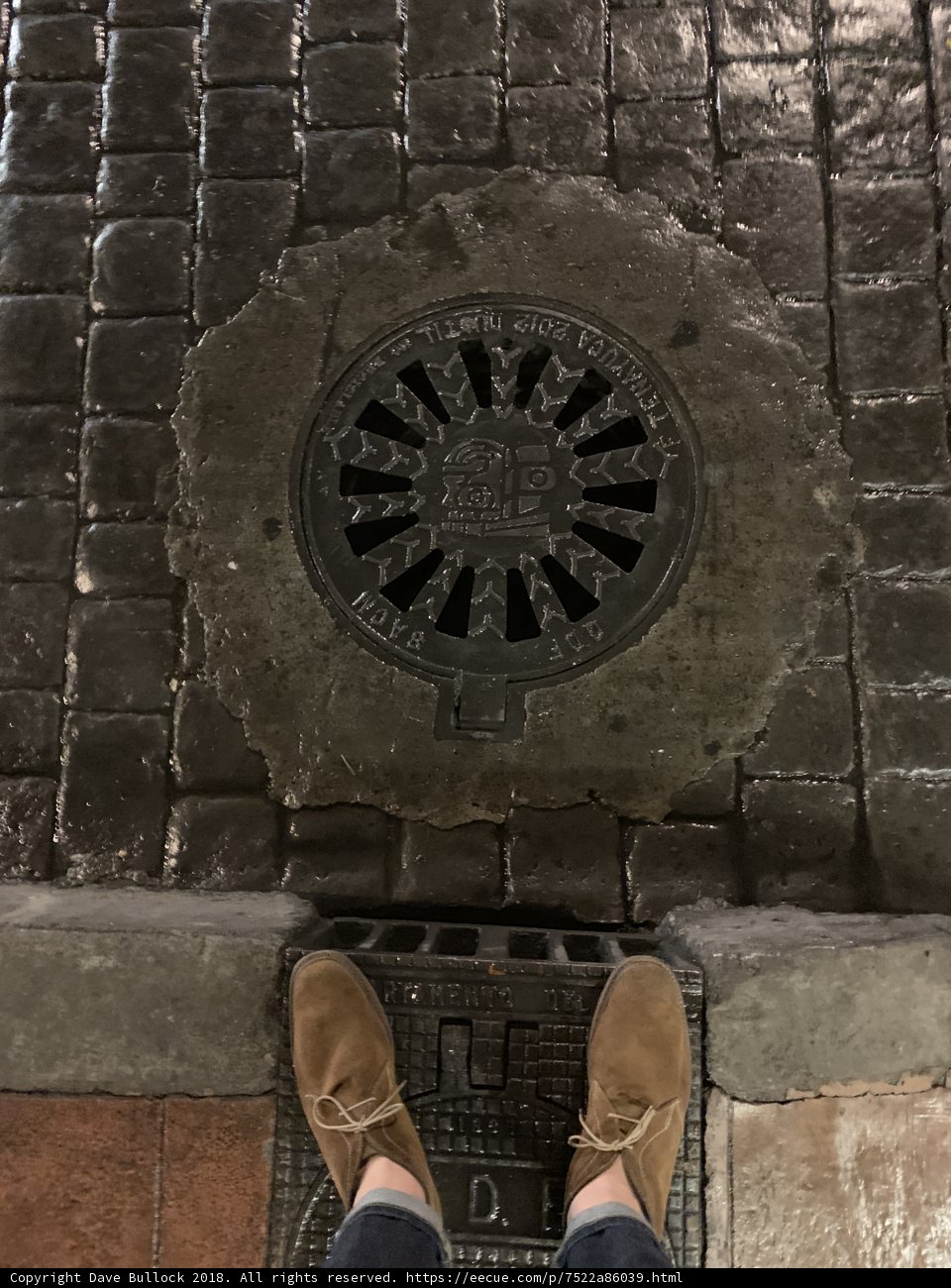 Brick Path and Manhole