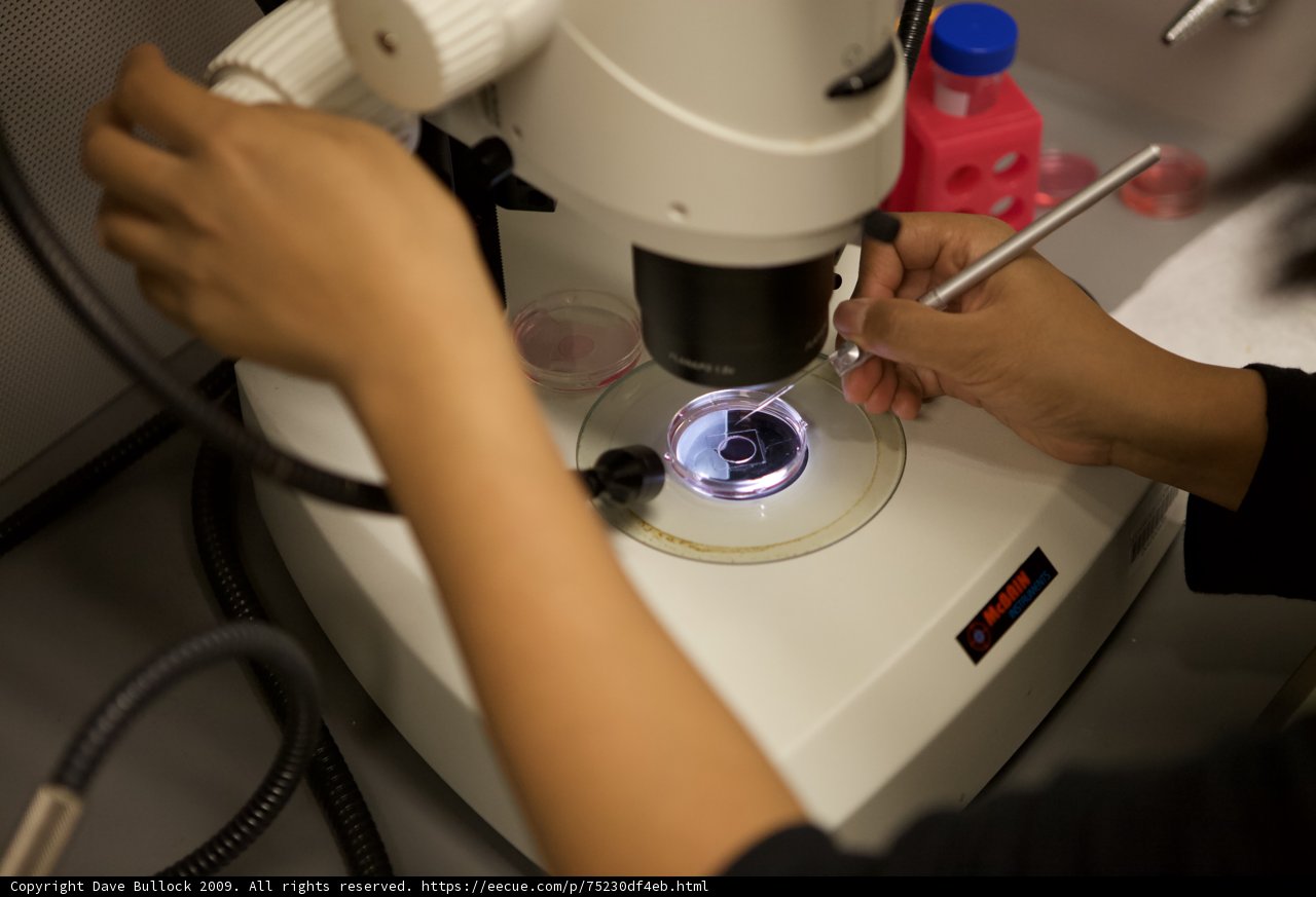 Exploring the Microscopic World