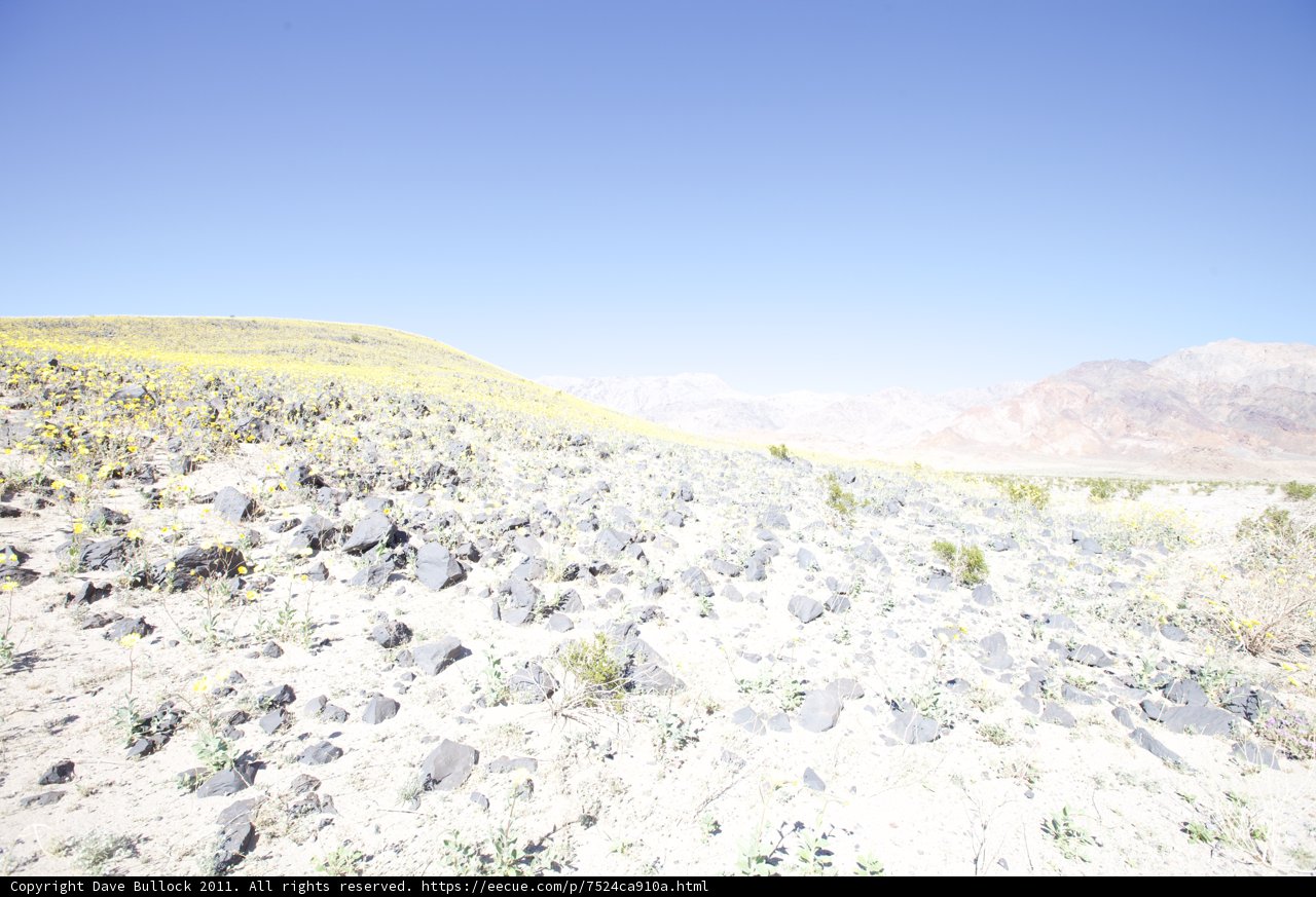 Vast and Serene Landscape