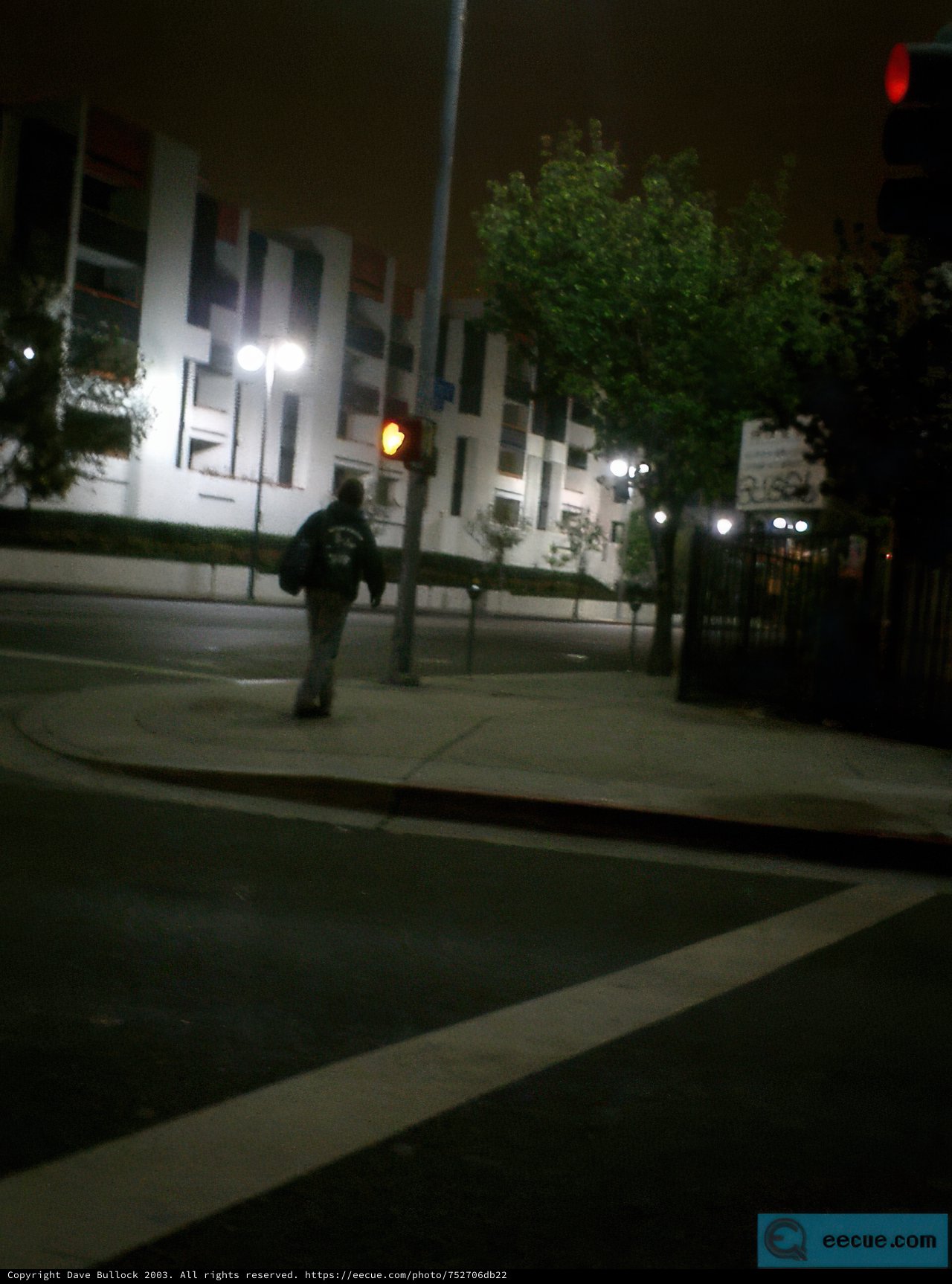 Nighttime Stroll in the Urban Metropolis