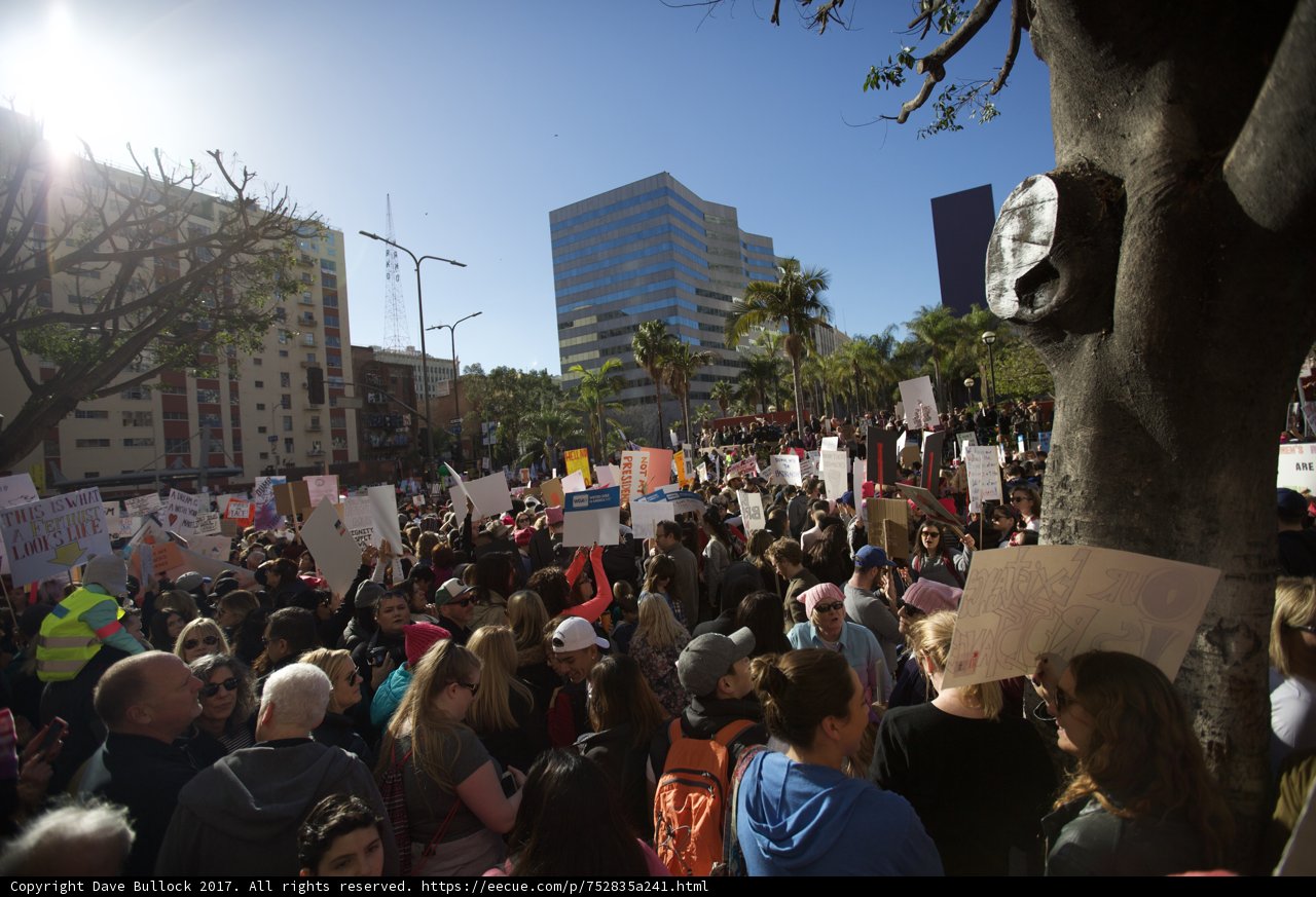 Women Marching for Equality