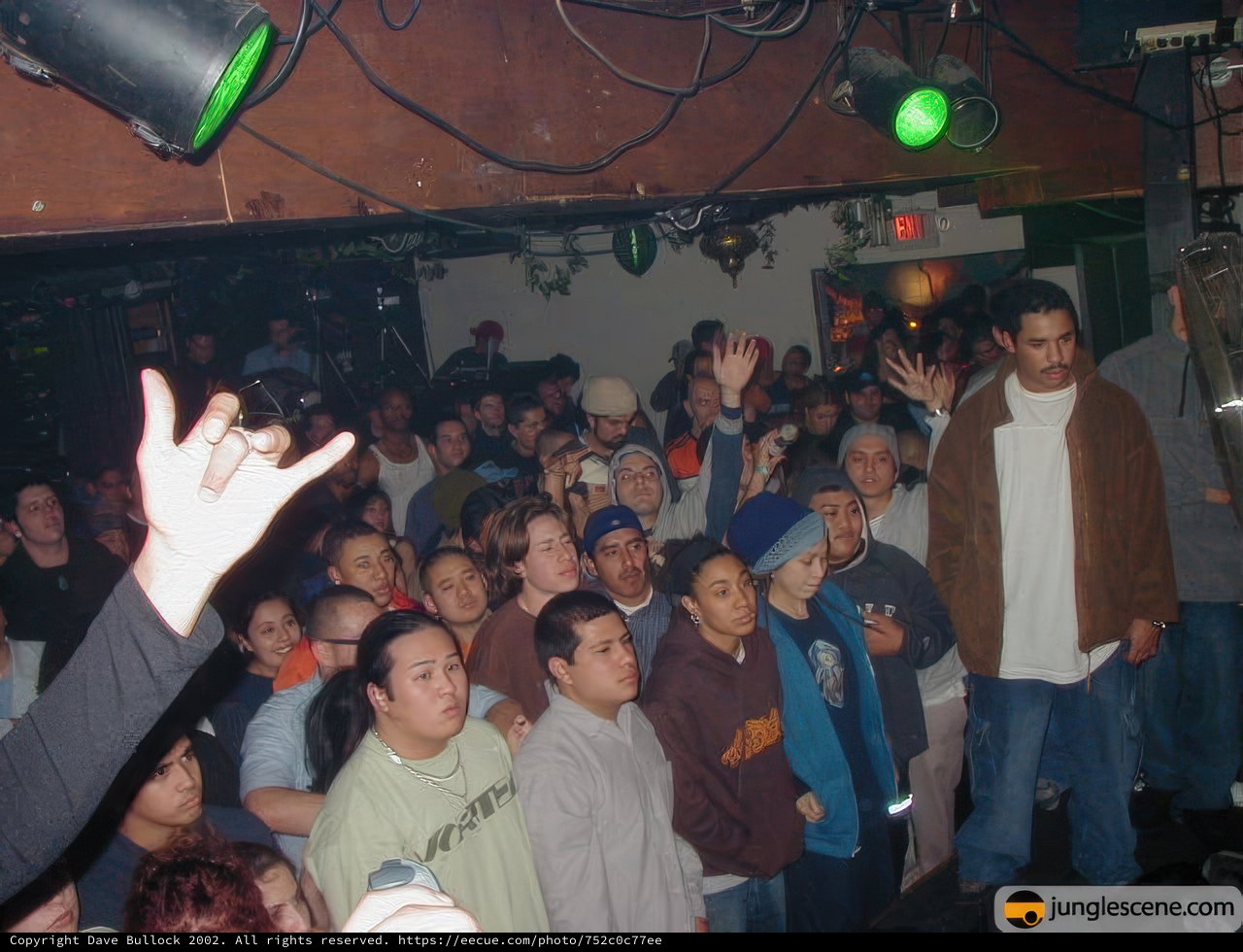 Nightclub Concert Crowd with Raised Hands