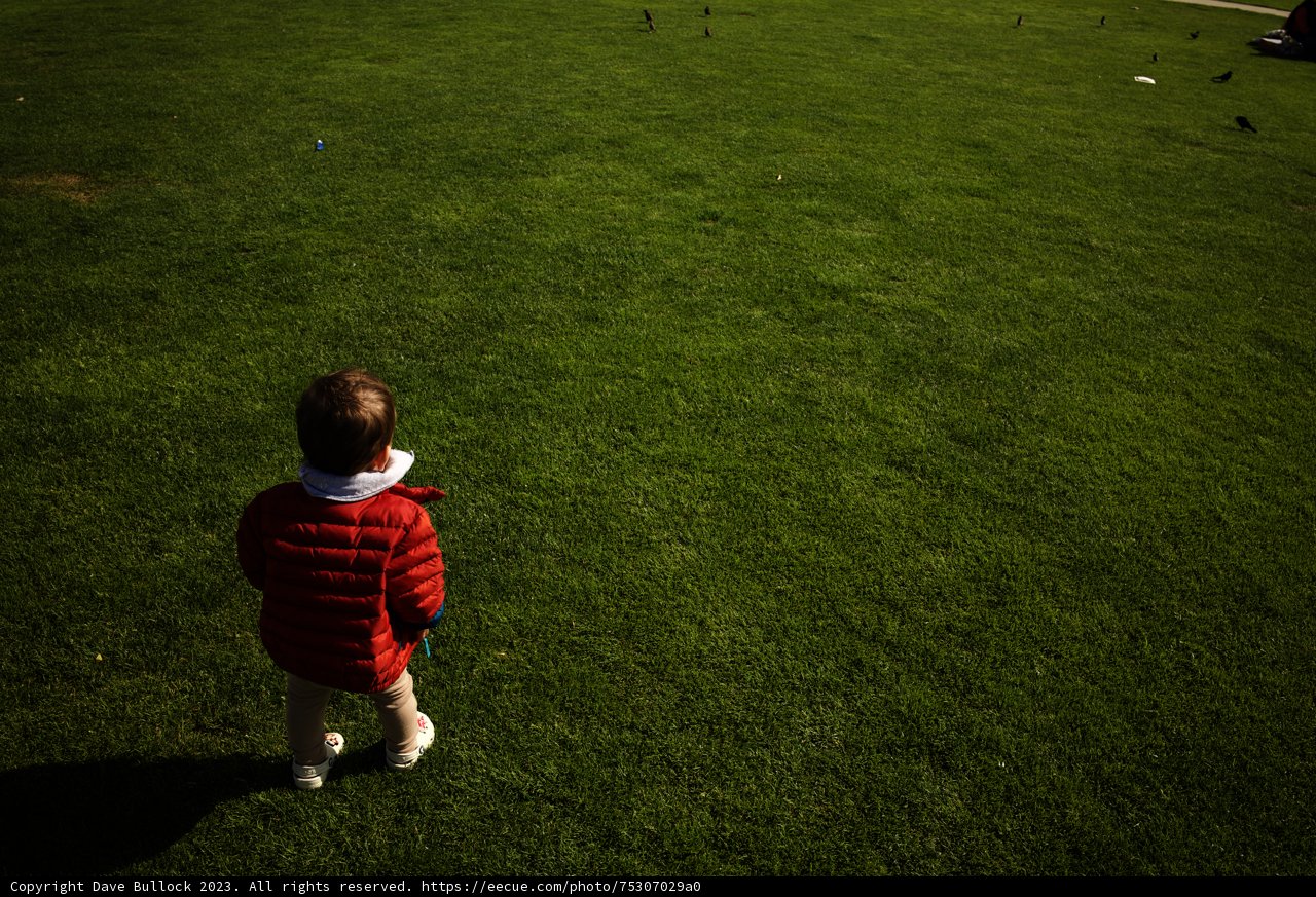 Summer Serenity in Presidio - 2023