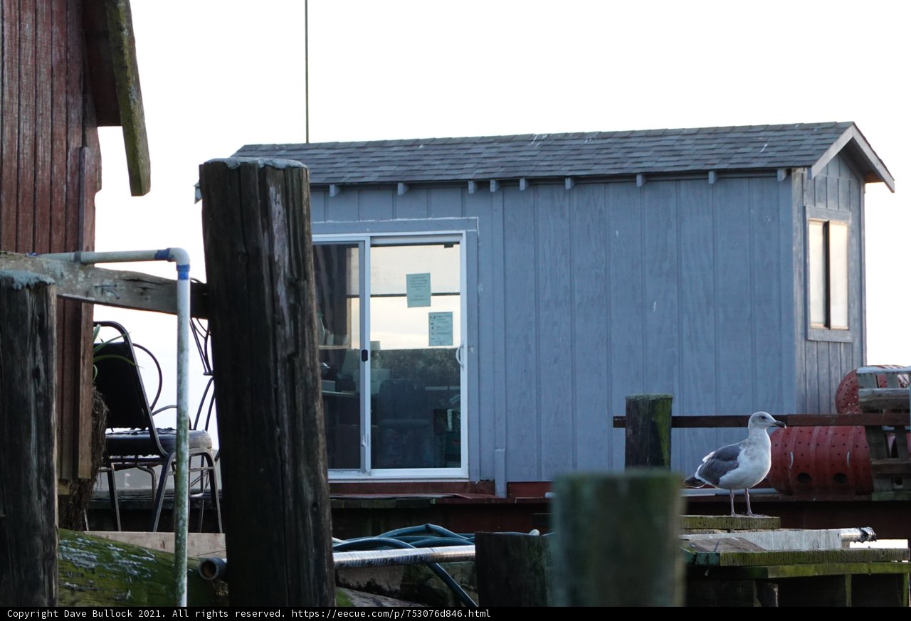 Seaside Shelter