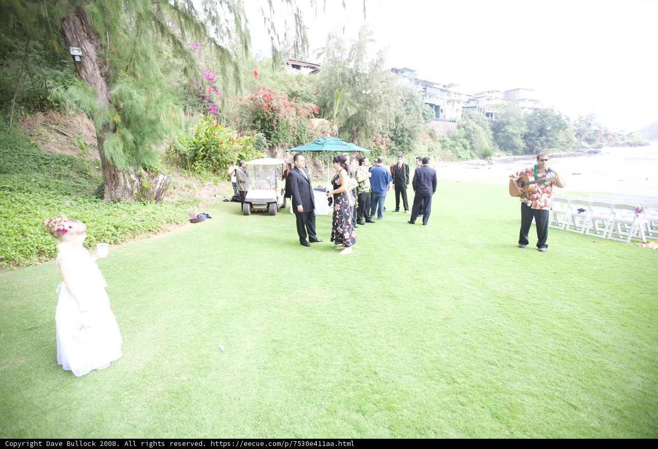 Picture-perfect Wedding