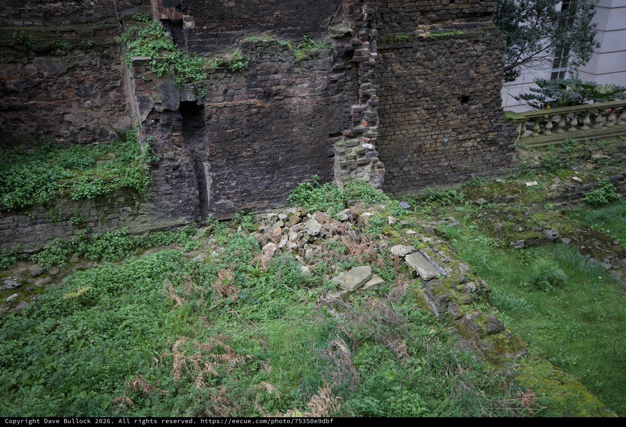 Ancient Stone Wall Ruins Reclaimed by Nature