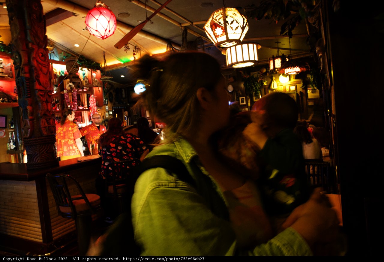 Cherishing Motherhood at Disneyland