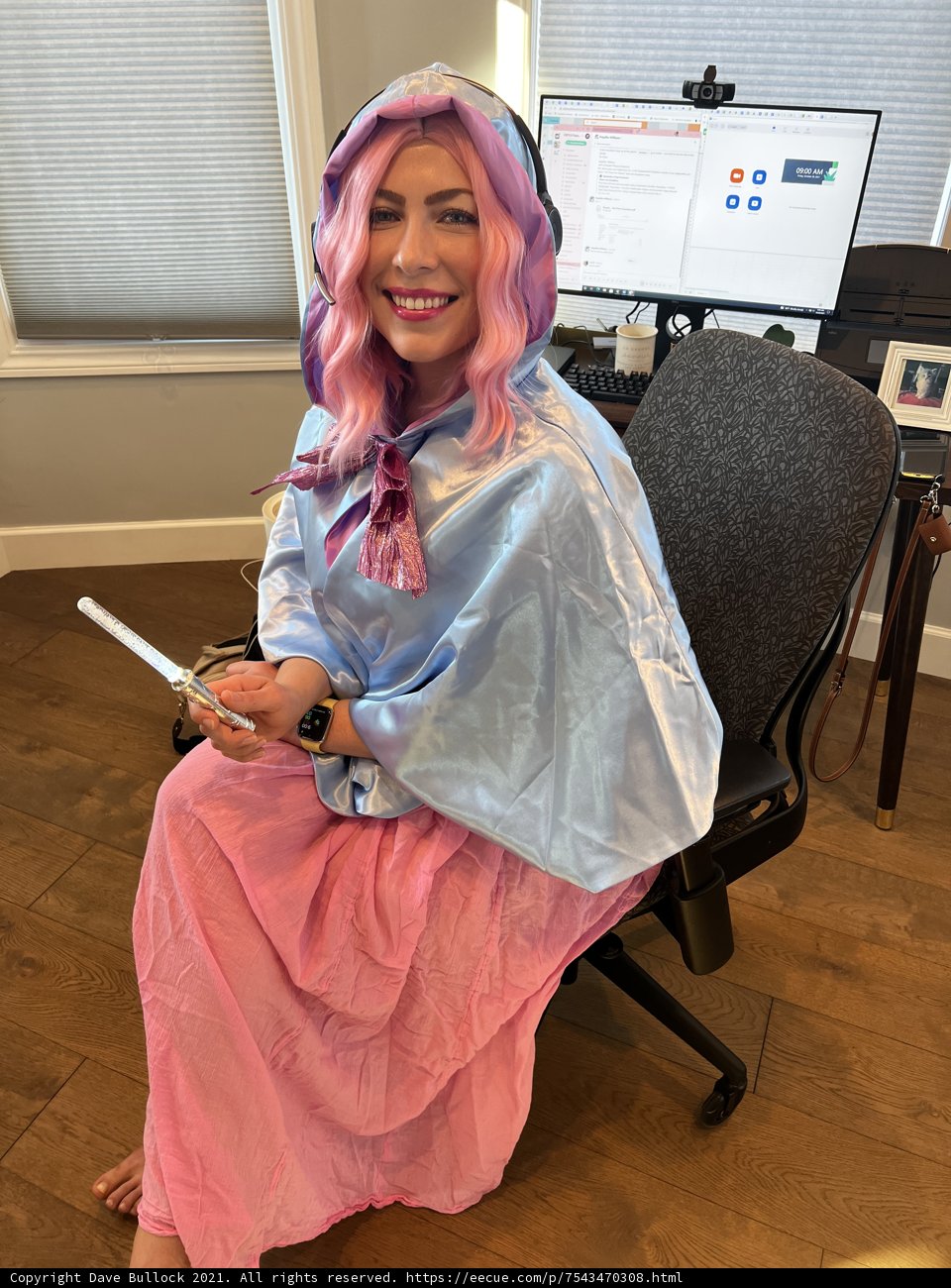 The Pink-Haired Warrior