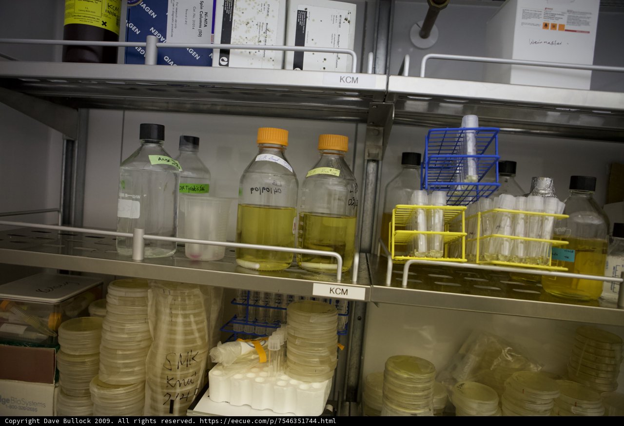 Shelf Life