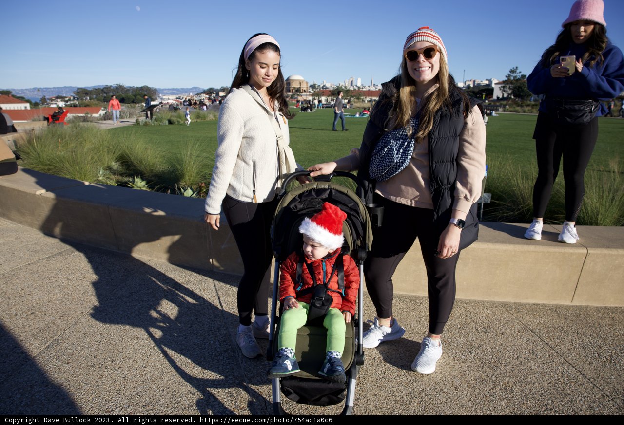 Strolls in the Park: Capturing Moments