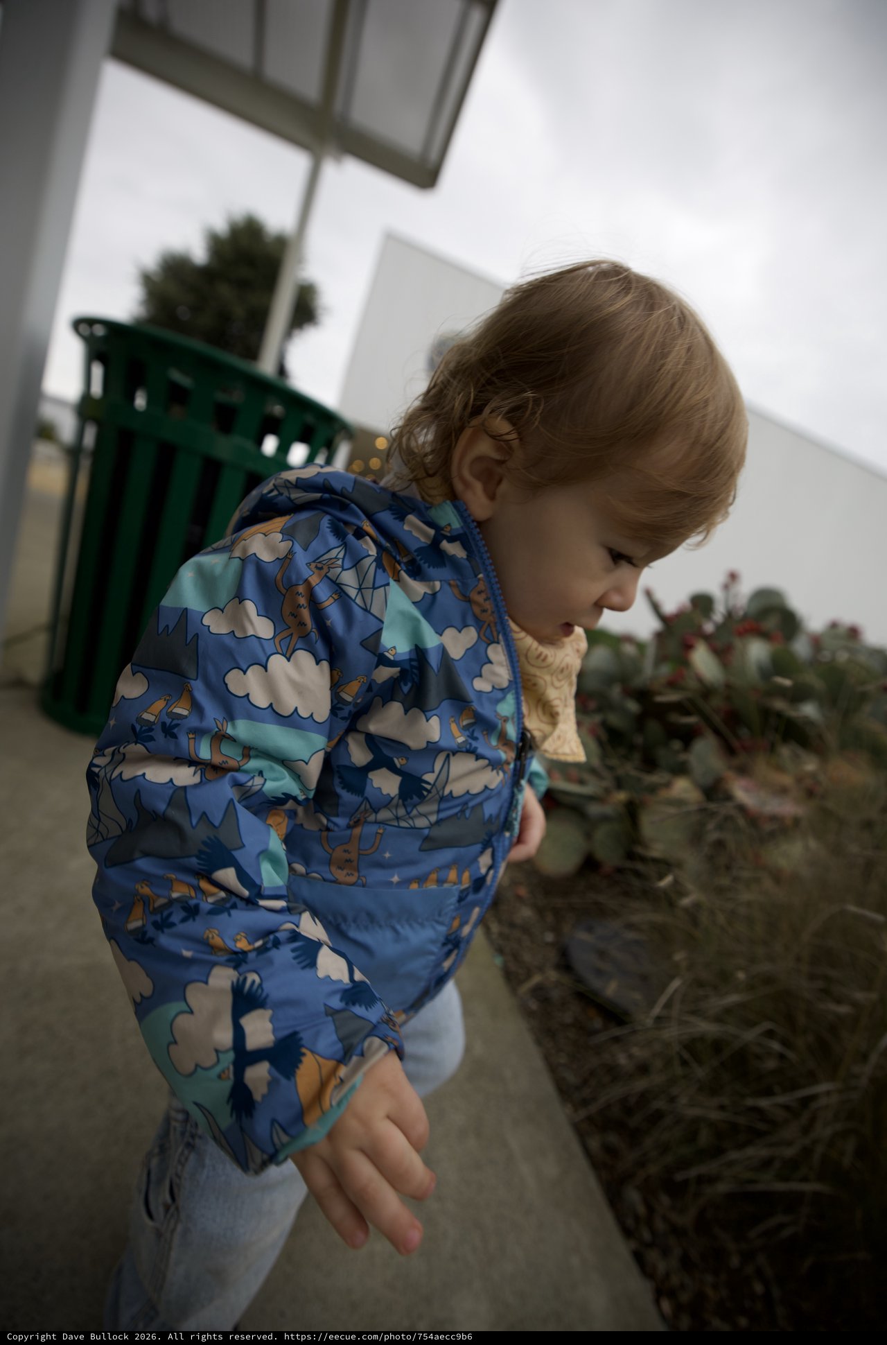 Young Child in Playful Blue Cloud Jacket Outdoors