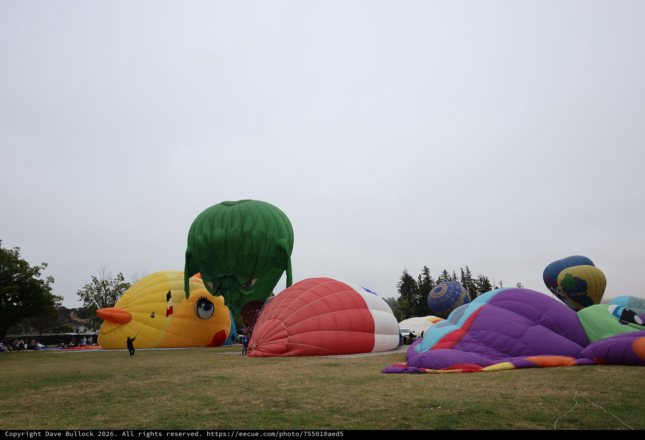 Whimsical Hot Air Balloons Inflate at Sonoma County Classic