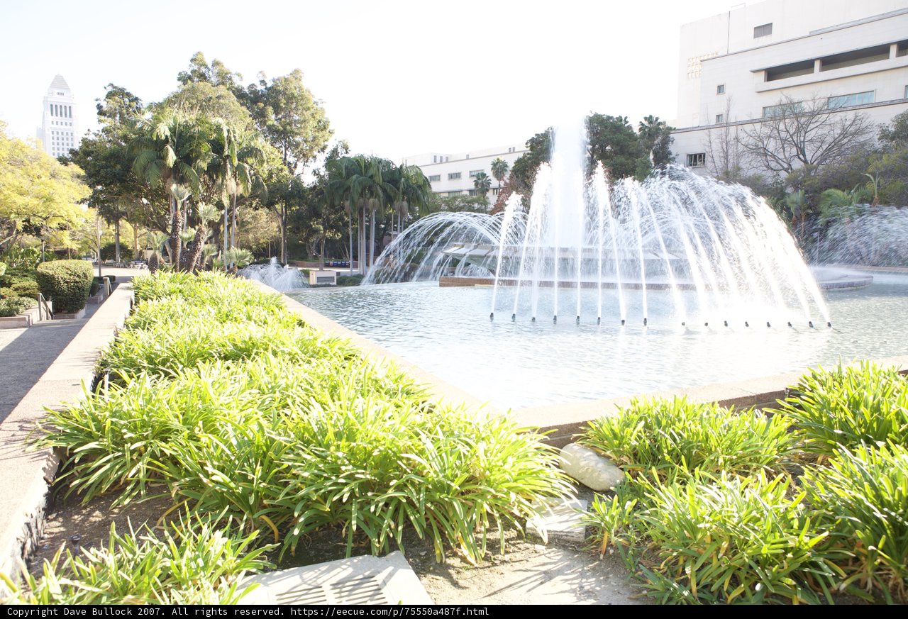 Fountain Oasis in the City