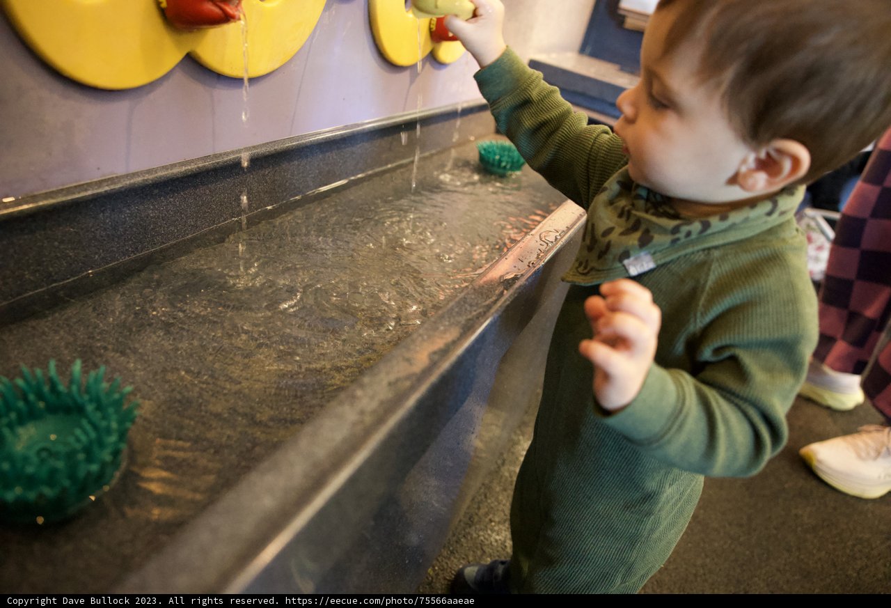 Splashing Around: Wesley's Water Play Adventure