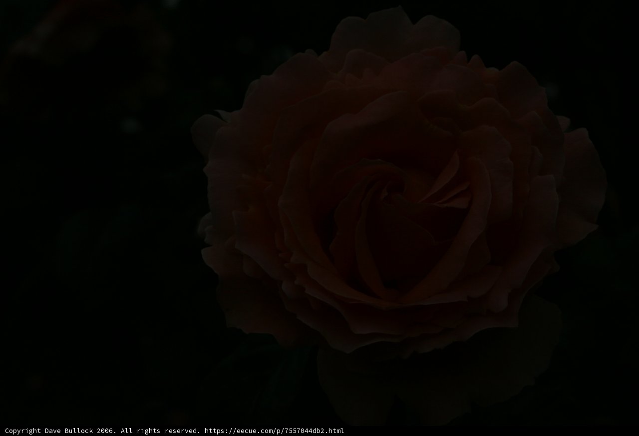 Beauty in Darkness