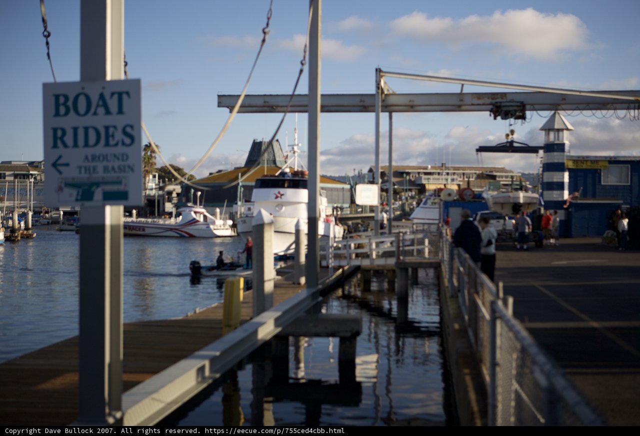 Docked at the Lobster Festival