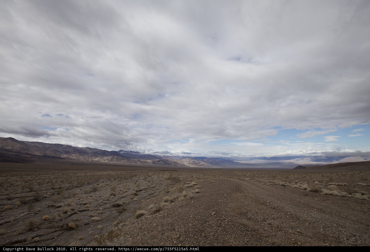 Serenity in the Desert