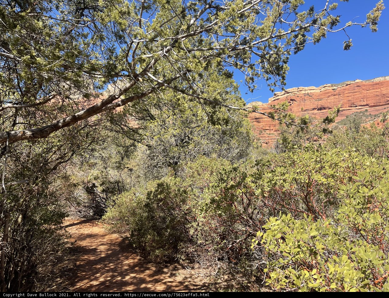 Red Rock Trail in Sedona, Arizona