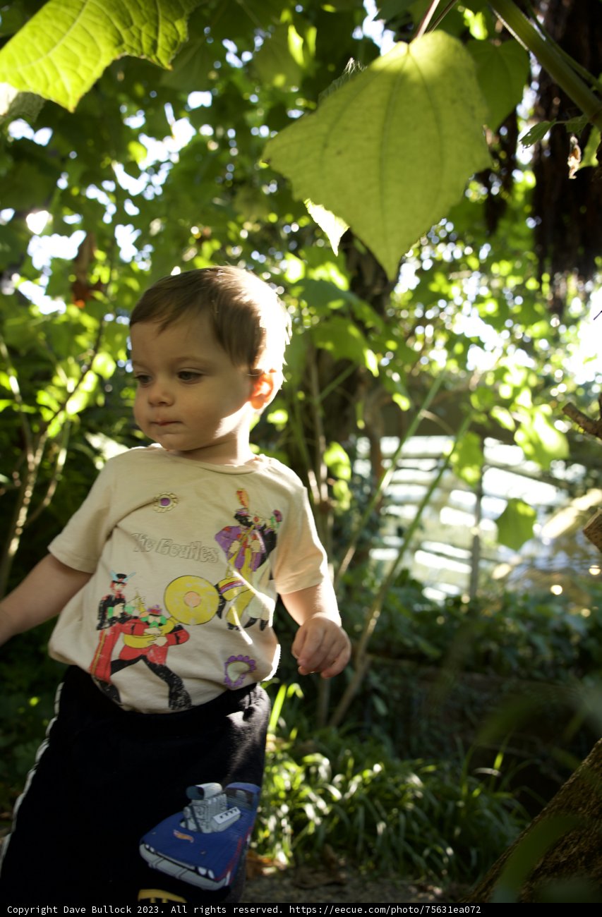 A Boy's Wilderness Adventure