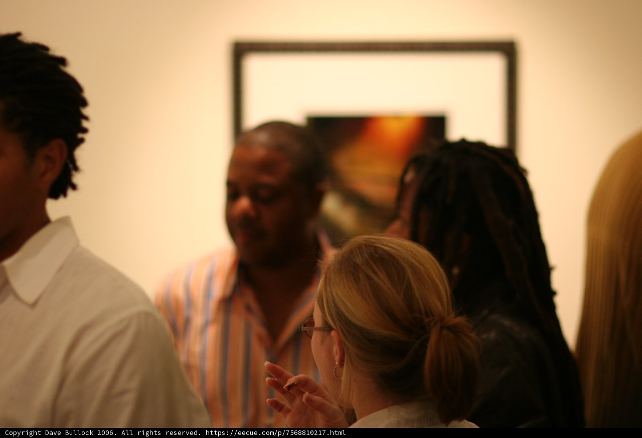 Dreadlocked Man Contemplating Art