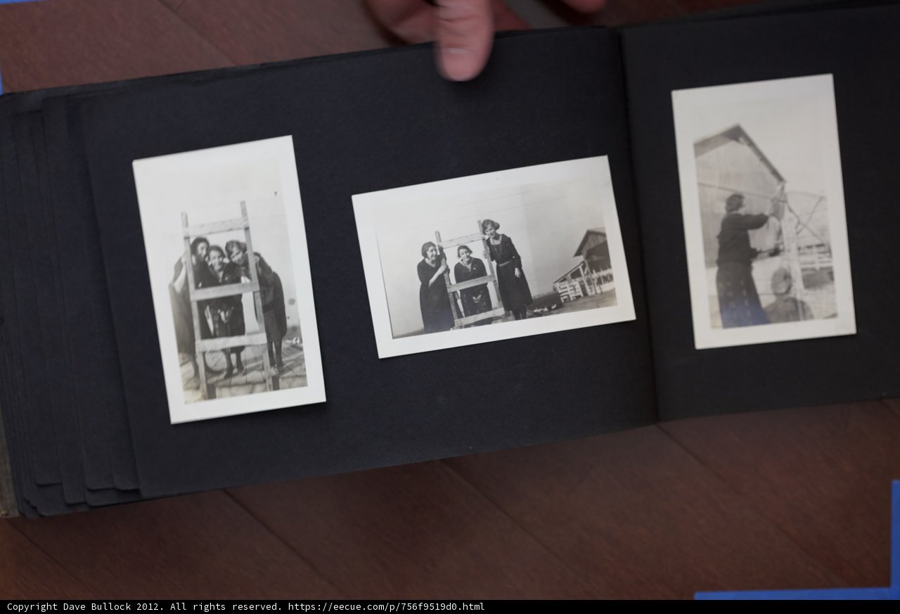 A Collage of Faces: Sylvia Pankhurst in the Bullock Curtis Family Photos