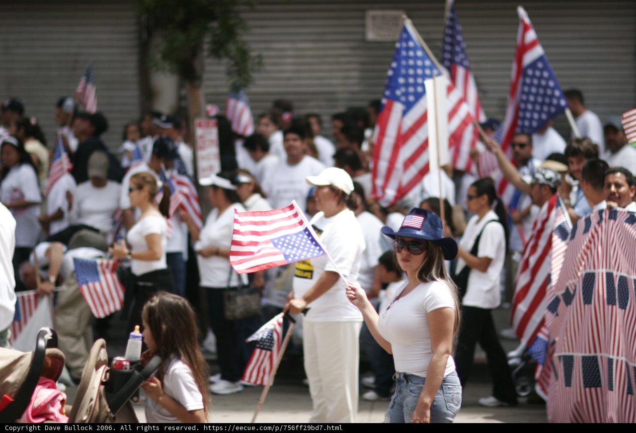 Patriotic Crowd