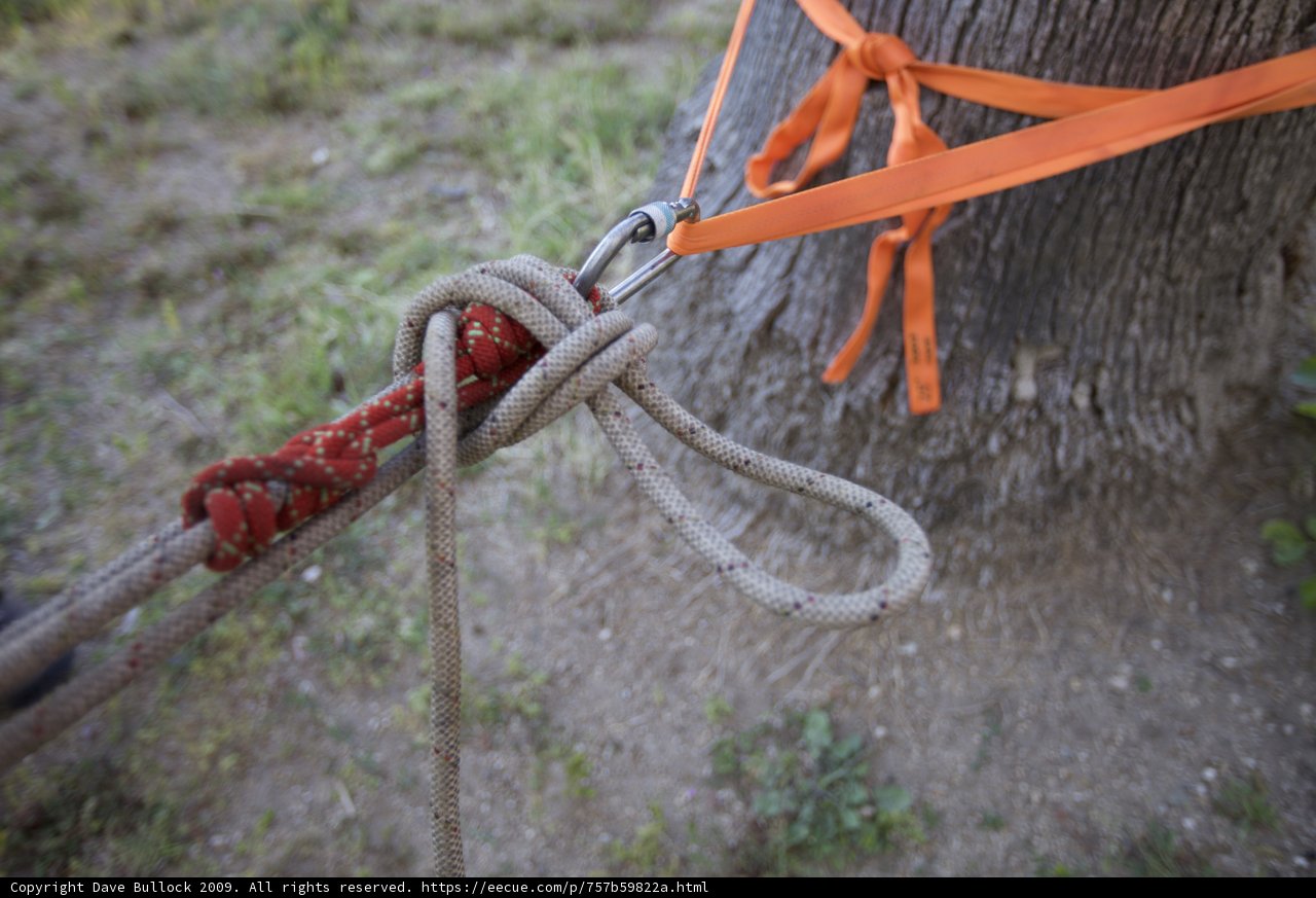 Tethered Tree